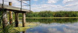 Steht so. Die Pegelstände der Spree – hier an der Messstelle in Mönchwinkel, etwa 15 Kilometer südöstlich der Berliner Stadtgrenze – bleiben zwar bisher relativ konstant. Allerdings fließt insgesamt so wenig nach Berlin, dass der Große Müggelsee mit gereinigtem Abwasser aus dem Klärwerk Münchehofe aufgefüllt wird. Das kann zum Problem werden.