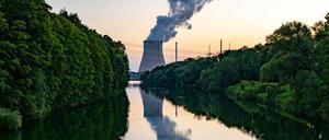 Die Nutzung der Atomkraftwerke ist das große Streitthema innerhalb der Grünen-Partei.