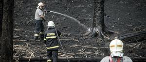 Einsatzkräfte der Feuerwehr löschen einen Waldbrand im Nationalpark Böhmische Schweiz. 