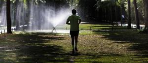 Ein Mann joggt durch den Tiergarten, in dem Anlagen zur Bewaesserung aufgebaut sind.