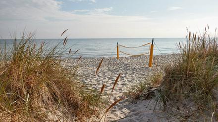 Ein Volleyballnetz steht am frühen Morgen einsam am menschenleeren Strand.