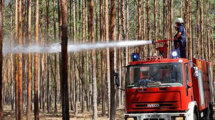 Archivbild. Der Ort, an dem der Mann Feuer gelegt haben soll, liegt etwa 20 Kilometer vom Waldbrandgebiet Kölsa-Rehfeld entfernt. 