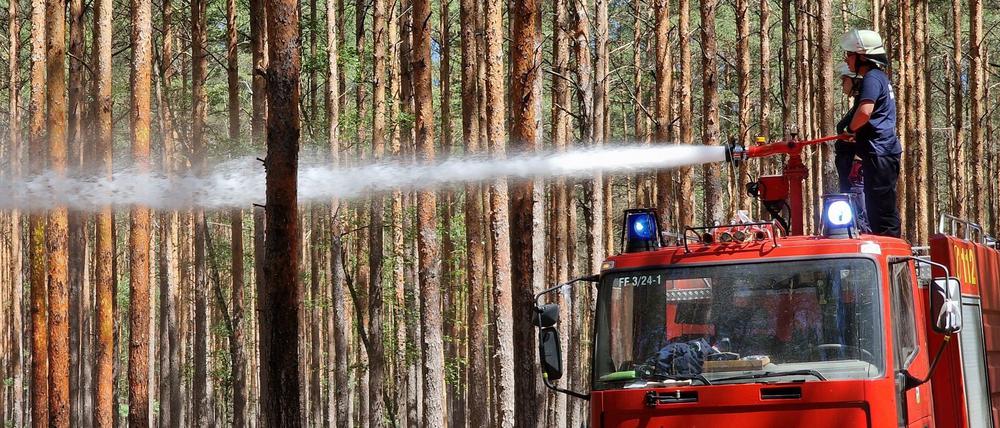 Archivbild. Der Ort, an dem der Mann Feuer gelegt haben soll, liegt etwa 20 Kilometer vom Waldbrandgebiet Kölsa-Rehfeld entfernt. 