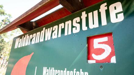 Eine Tafel vor einem Waldstück weist auf die höchste Waldbrandwarnstufe fünf hin. In Brandenburg hat es jüngst auf einer Fläche von insgesamt 400 Hektar gebrannt - umgerechnet sind das etwa 600 Fußballfelder.