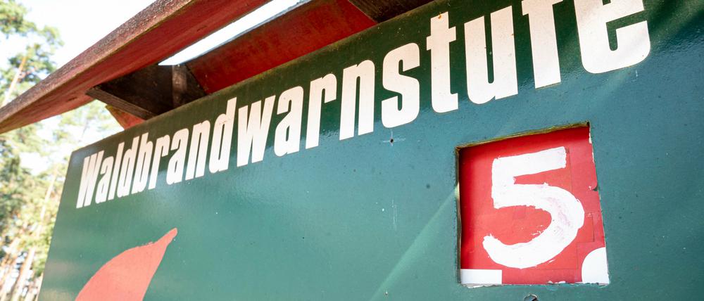 Eine Tafel vor einem Waldstück weist auf die höchste Waldbrandwarnstufe fünf hin. In Brandenburg hat es jüngst auf einer Fläche von insgesamt 400 Hektar gebrannt - umgerechnet sind das etwa 600 Fußballfelder.