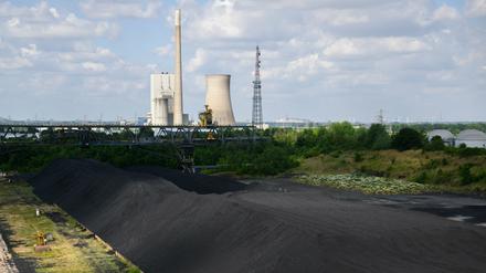 Steinkohle lagert im Kohlehafen neben dem Kohlekraftwerk Mehrum im Landkreis Peine.