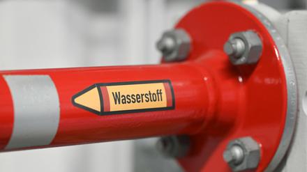 Energie der Zukunft. Deutschland und andere EU-Staaten unterstützen den Auf- und Ausbau einer europäischen Wasserstoffindustrie mit bis zu 5,4 Milliarden Euro.