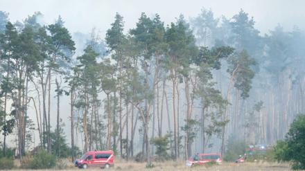 29.07.2022, Brandenburg, Falkenberg: Qualm von Glutnestern und kleineren Feuern steht in einem Wald im Landkreis Elbe-Elster. 