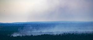 Rauchschwaden sind vom Teufelsberg aus über dem Grunewald zu sehen. (Archivfoto)
