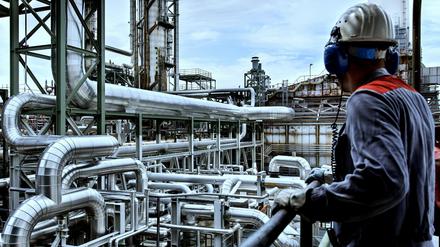 Die chemische und pharmazeutische Industrie kann nicht auf die guten Umsätze des vergangenen Jahres bauen.