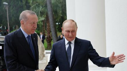 Ankunft in Sotschi: Der türkische Präsident Recep Tayyip Erdogan wird begrüßt von Russlands Präsident Wladimir Putin. 