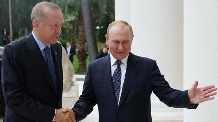 Erdogan und Putin beim Treffen in Sotschi.