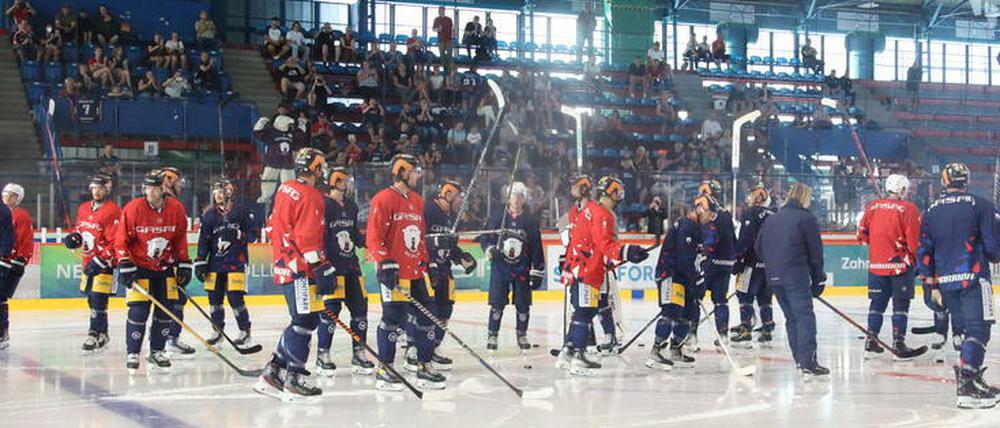 Mannschaft auf dem Eis, Fans auf den Rängen. Die Vorfreude auf die neue Eishockey-Saison ist groß.