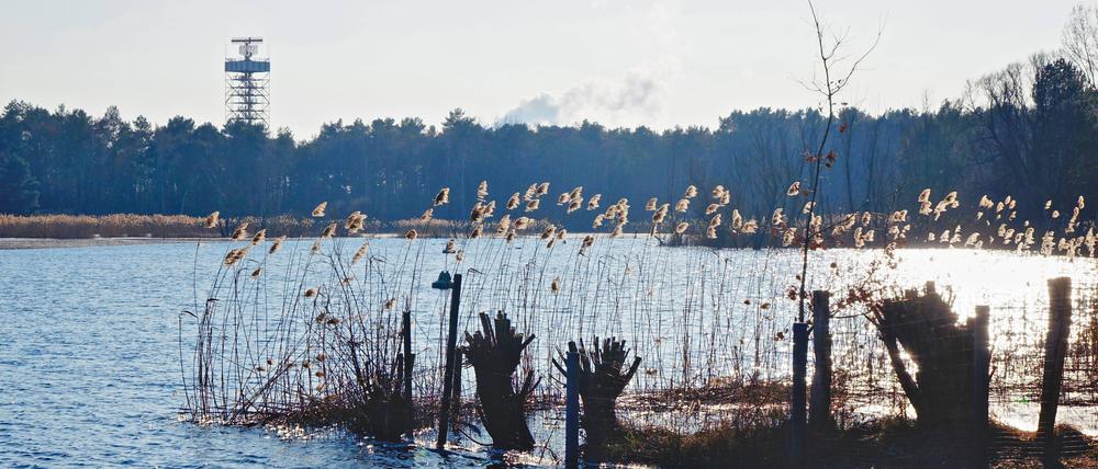 Der Flughafensee in Berlin-Reinickendorf.