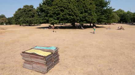 Englischer Rasen. Im Hyde Park in London können die Menschen sich Sonnenliegen mieten. Nur war das Gras schon mal grüner als in diesem Sommer. 