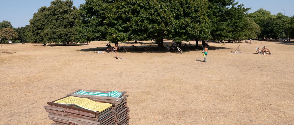 Englischer Rasen. Im Hyde Park in London können die Menschen sich Sonnenliegen mieten. Nur war das Gras schon mal grüner als in diesem Sommer.