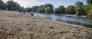Im aktuellen Jahr waren bis auf den Februar bisher alle Monate zu trocken. Das Resultat ist ein Defizit von 150 Litern Wasser pro Quadratmeter seit Jahresbeginn.