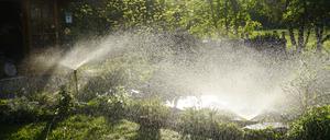 Trotz der extremen Trockenheit und der Hitze liegt der Trinkwasserverbrauch in diesem Sommer deutlich unter den Spitzenwerten vergangener Jahre.