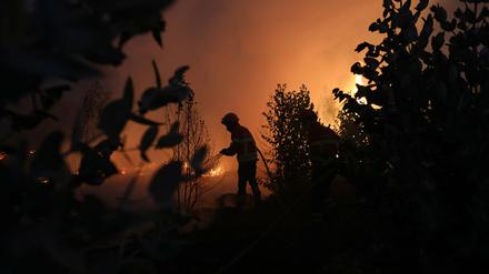 In vielen Orten auf der Welt herrschen derzeit schwer kontrollierbare Waldbrände, wie auch hier in Portugal. 
