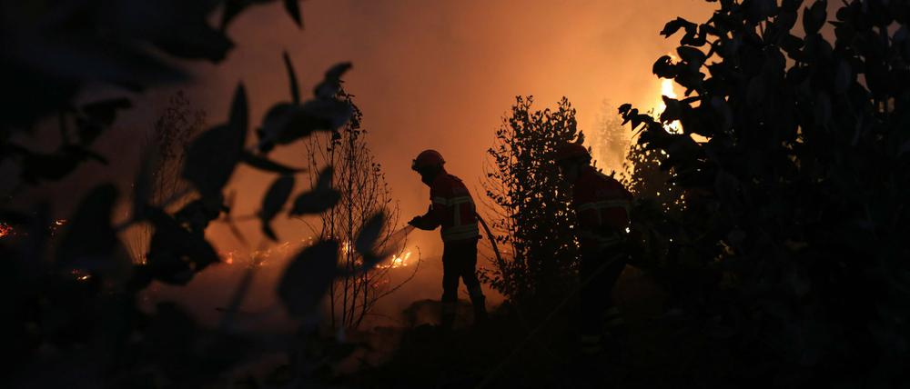 In vielen Orten auf der Welt herrschen derzeit schwer kontrollierbare Waldbrände, wie auch hier in Portugal. 