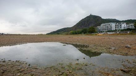 Aufgrund der anhaltenden Trockenheit hat der Rhein einen niedrigen Pegelstand. 