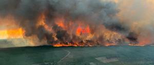 Ein Waldgebiet in Saint Magne, südlich von Bordeaux. 