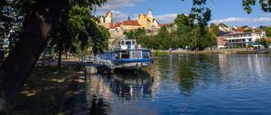 Angler fanden die toten Fische in der Saale in Bernburg in Sachsen-Anhalt.