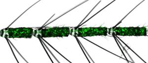 Fluoreszenzmarkierte Riechneuronen auf ihren Antennen helfen Mücken bei der Jagd.