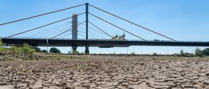 Der Rhein bei Duisburg.