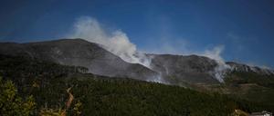 Im Nationalpark Serra da Estrela kommt es seit Tagen immer wieder zu Waldbränden.