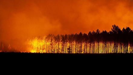 Ein Waldbrand in der Nähe von Bordeaux in Frankreich.