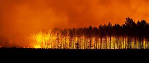 Ein Waldbrand in der Nähe von Bordeaux in Frankreich.