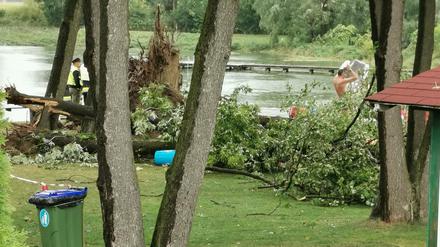 Mehrere Personen stehen neben umbekippten Bäumen am St. Andräer See in Kärnten.