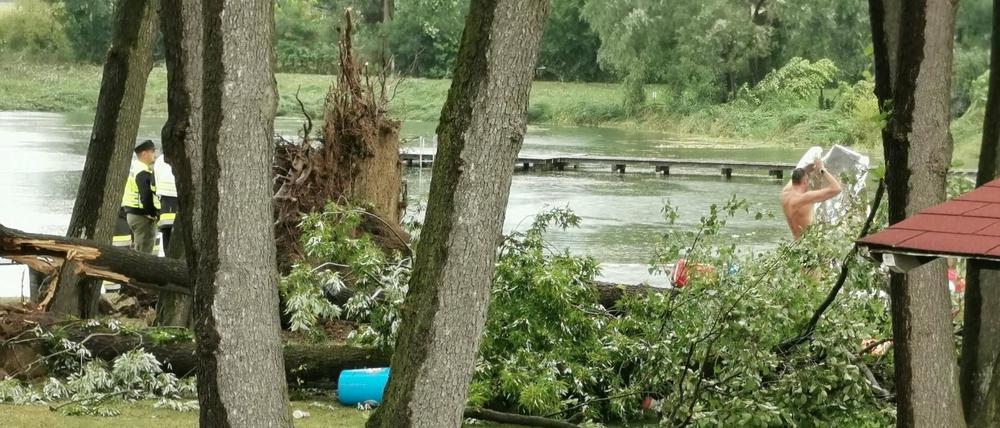 Mehrere Personen stehen neben umbekippten Bäumen am St. Andräer See in Kärnten.