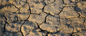 Im italienischen Boretto durchziehen Risse das trockene Flussbett.