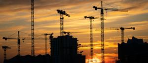 Die Kräne verschiedener Baustellen in der Hamburger Hafencity.