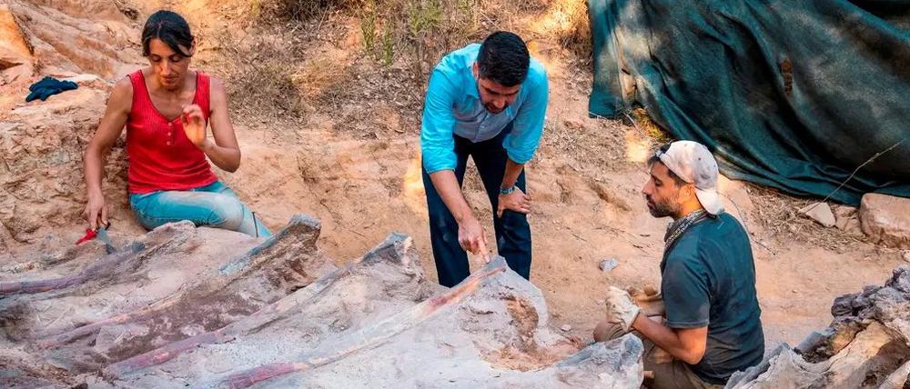 Im portugiesischen Pombal sitzen Forscher neben dem Ausgrabungsfund. 
