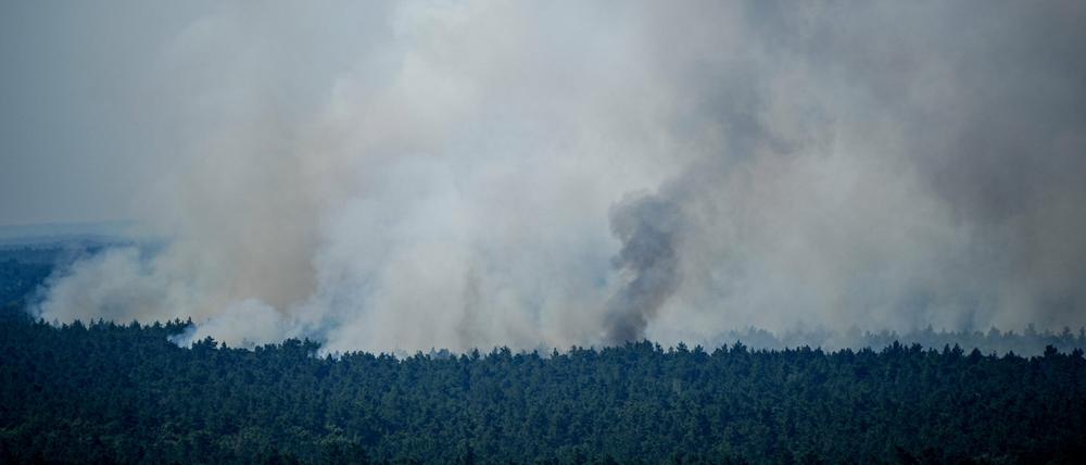 Tagelang stieg Rauch im Grunewald auf, nachdem am 4. August auf dem Gelände zur Beseitigung von Explosionsstoffen ein Feuer ausgebrochen war. 