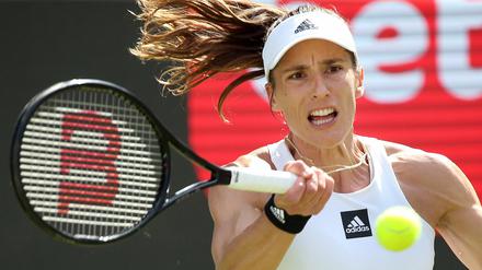 Tennis-Profi Andrea Petkovic hat am Rande der US Open ihr Karriereende angekündigt.