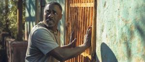 Löwenbändiger. Großstädter Nate (Idris Elba) hat sich den Familienausflug etwas anders vorgestellt.