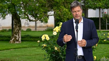 Robert Habeck gibt nach der Kabinettsklausur in Meseberg ein Pressestatement. 