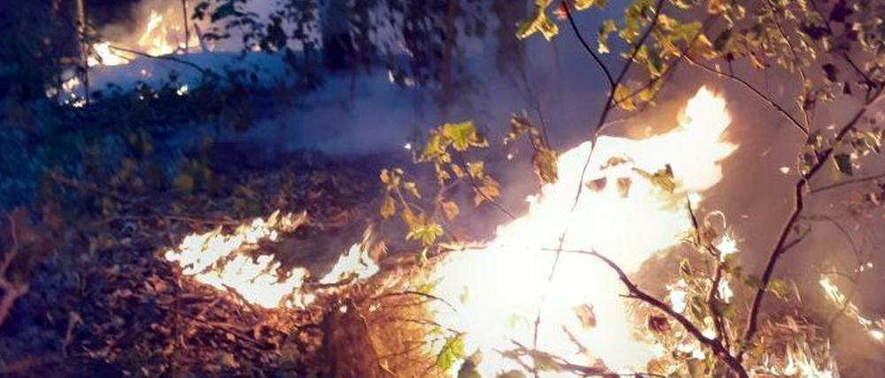 Das Feuer war am Dienstagmorgen ausgebrochen.