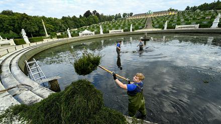 Das Wasserbecken der Großen Fontäne im Park Sanssouci wurde gereinigt.