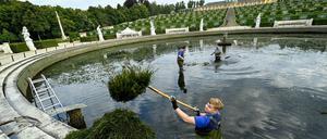 Das Wasserbecken der Großen Fontäne im Park Sanssouci wurde gereinigt.