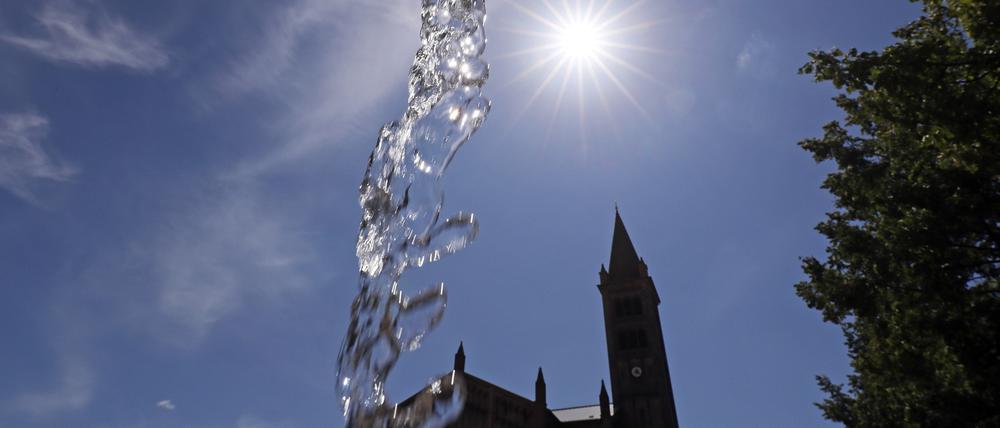 Der kommunale Wasserversorger EWP will die Trinkwasserversorgung trotz Dürre sicherstellen.