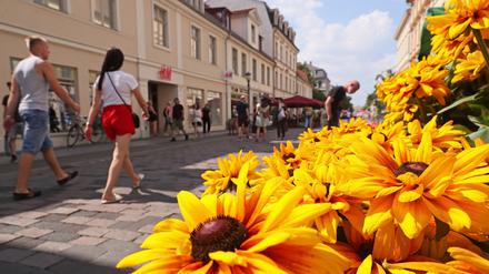 Viele Bürger:innen bewerten die Lebensqualität in Brandenburgs Landeshauptstadt in der neuen Bürgerumfrage als hoch. Vor allem mit ihrer wirtschaftlichen Situation sind viele zufriedener als bei der vorherigen Umfrage. Da lässt es sich wie hier in der Brandenburger Straße doch unbeschwert flanieren.