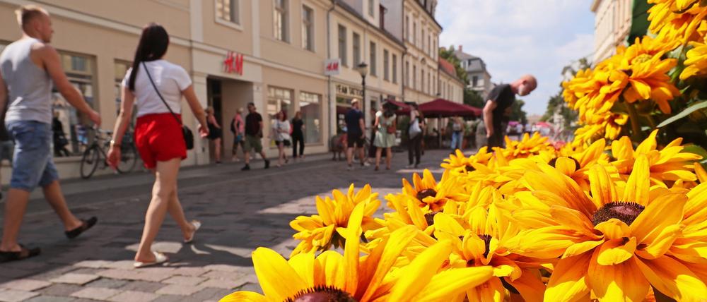 Viele Bürger:innen bewerten die Lebensqualität in Brandenburgs Landeshauptstadt in der neuen Bürgerumfrage als hoch. Vor allem mit ihrer wirtschaftlichen Situation sind viele zufriedener als bei der vorherigen Umfrage. Da lässt es sich wie hier in der Brandenburger Straße doch unbeschwert flanieren.