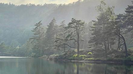 Das Foto zeigt den See vor Familie Büchners Baumhaus-Domizil in Norwegen.