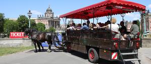 Eine Touristenattraktion: Eine Stadtrundfahrt mit einem Kremser vor dem Neuen Palais