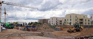 Immobilien in Brandenburg sind weiter sehr gefragt.